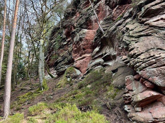 24-03-01 14-58-50 8882